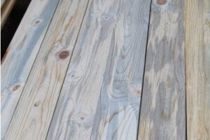 Blue Stain Pine lumber