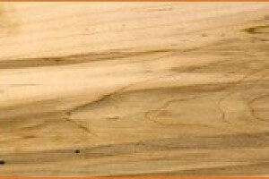 Ambrosia Maple lumber