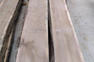 Walnut Slabs lumber